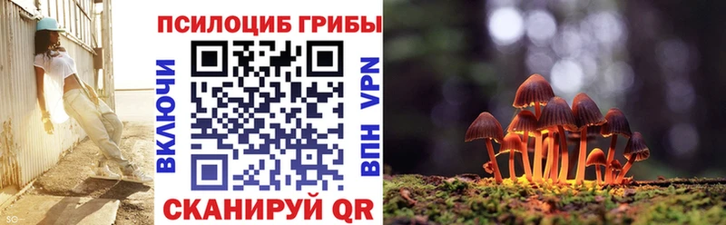 Псилоцибиновые грибы прущие грибы  где купить наркотик  Переславль-Залесский 